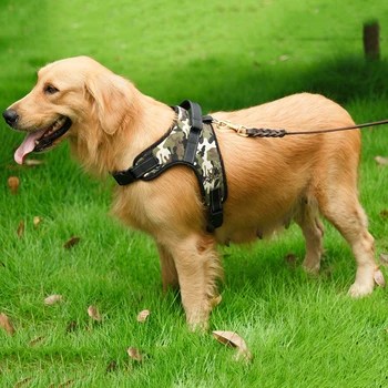 Aukštos Kokybės Šunų Pet Panaudoti Atspindintis Stilius Saugi Sagtis Šunį Vest Balnai Mažas Vidutinis Didelis Šunys