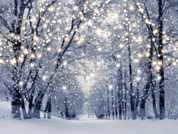 žiemos fotografijos fone blizgučiai miško kalėdų sniego fone photocall Gimtadienio fonas foto studija