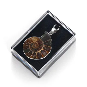 ASHMITA Natūralaus Akmens Ammonite Shell Sraigė Pakabučiai Vandenyno Reliquiae Pareiškimą Karoliai Vyrų Papuošalai