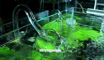 Stiklo vamzdis lily aguonų bijūnas nugara paviršiaus skimmer pritekėjimo srautas 13mm 17mm akvariumo vandens augalų bako filtras ADA kokybės nano mini
