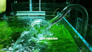 Stiklo vamzdis lily aguonų bijūnas nugara paviršiaus skimmer pritekėjimo srautas 13mm 17mm akvariumo vandens augalų bako filtras ADA kokybės nano mini