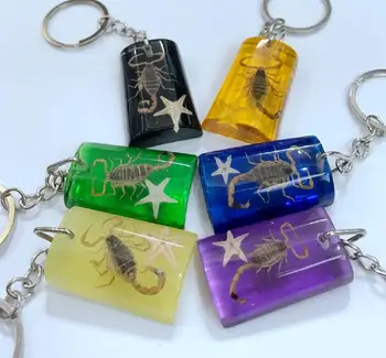 Nemokamas Pristatymas yqtdmy 12 vnt naujos formos keychain su aukso skorpionas žvaigždė papuošalų magija