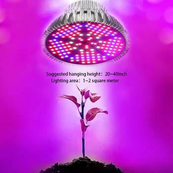100W LED Grow Lempa Visą Spektrą Augalų Auga Šviesos Kambarinių Augalų Žydėjimo auga palapinė patalpų hydroponic Žydėjimo auga lempos