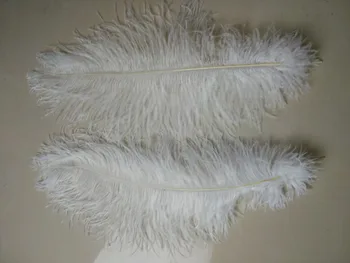 50 vnt kokybės balta stručio plunksnos, 16-18inches / 40-45cm, 