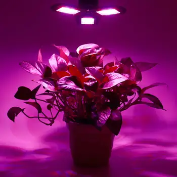 LED Fito Lempa E27 100W 200W 300W viso Spektro LED Grow Light Horticole Patalpų Gėlių Sodinukai Auga Palapinę Lauke Vandeniui IP20