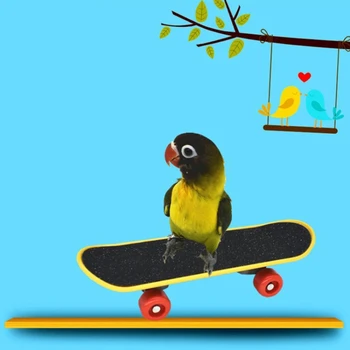 Paukščių Mokymo Žaislai Pirkinių Krepšelį Krepšinio Lankai Krovimas Žiedas Skatebord Sneaker