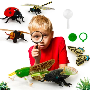 Vaikų mokslo pažinimo modelis, modeliavimas vabzdžių biedronka dragonfly cikada lėlės žaislas zoologijos sodas apdailos vaiko mokymąsi