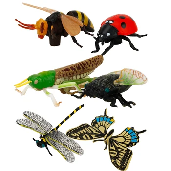Vaikų mokslo pažinimo modelis, modeliavimas vabzdžių biedronka dragonfly cikada lėlės žaislas zoologijos sodas apdailos vaiko mokymąsi