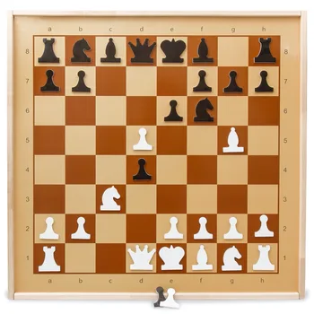 Šachmatų demonstravimo magnetinio Demonstravimo magnetiniai šachmatai