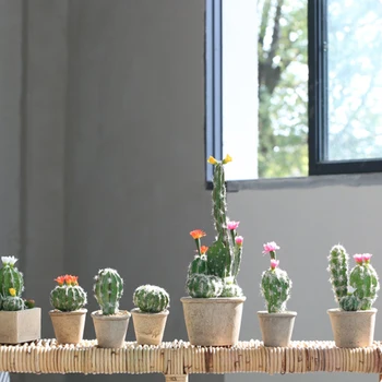 Modeliavimo Augalų Kaktusas Mažų Vazoninių Patalpų Darbalaukio Bonsai Apdailos Derinys Kūrybos Apdailos Dirbtiniai Augalai Namuose