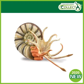 Naujas Atvykimo 2020 CollectA Pleuroceras Ammonite Priešistorinių Jūros Gyvūnų Organizmo Modelis klasikinis žaislai berniukams 88902