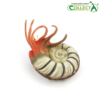 Naujas Atvykimo 2020 CollectA Pleuroceras Ammonite Priešistorinių Jūros Gyvūnų Organizmo Modelis klasikinis žaislai berniukams 88902