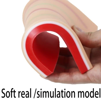 Intraveninė injekcija mokymo silikono modelis medicinos modeliavimas odos chirurgija studentų praktikos įrankių rinkinys