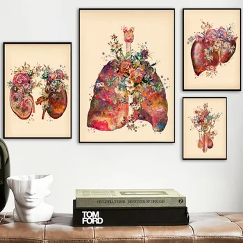Gėlių Anatomija Smegenų, Širdies, Plaučių, Inkstų Gimdos Šiaurės Plakatai Ir Spausdina Sienos Meno Tapybos Drobės Sienos Nuotraukas, Gydytojas Dekoras