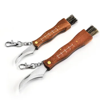 Swayboo Mini Nešiojamieji raudonmedžio rankena rinkti grybų peilis kempingas peiliai su teptuku multi-funkcija sulankstomas peilis įrankis