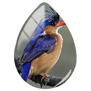 TAFREE Spalvos Paukštis Pakabukas Gyvūnų Rankų darbo Nuotraukų 18*25 mm Stiklo Lašas Stiliaus Cabochons Papuošalai, Aksesuarai
