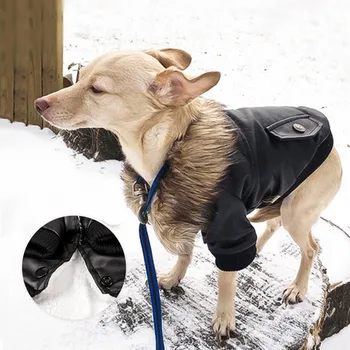 Šunų Kailio Apykakle Odiniai Paltai Vandeniui Šunelis Žiemą Šiltas Striukes Mažylis Šaltas Oras Drabužiai