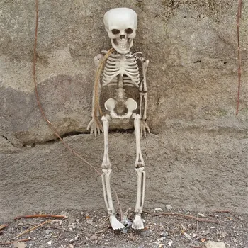 Mažas Dydis 30cm Skeletas Plastiko Helovinas Rekvizitai Kapo Metrų Medžioti Namų Dekoracijos