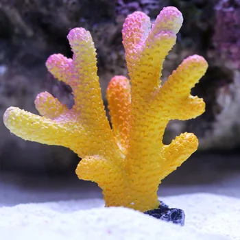 Koralų dirbtinį Koralų Papuošalų Spalvinga Povandeninio Akvariumas Papuošalai Dervos Koralų, Žuvų Bako apdailos Akvariumo Reikmenys