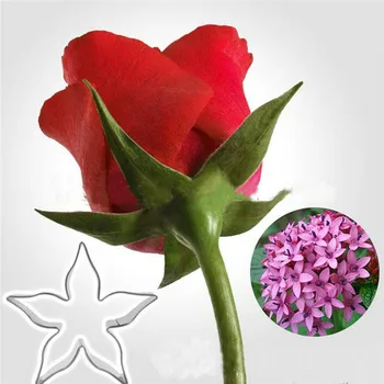 11pcs/set Nerūdijančio Plieno Rose žali Lapai/Rose Žiedlapis/ Rožės Taurele Pelėsių 3D Sausainių Minkštas Cookie Cutter Torto Formos LYQ