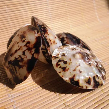 2vnt/Daug 3-5cm Cellana testudinaria Gamtos Myli Shell Papuošalai Žuvų Bakas Papuošalai Shell Namų Vestuvių Dekoravimas