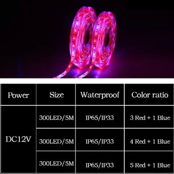 LED Fito Žibintai Augti Žiburiai SMD 5050 LED Šviesos Juostelės DC12V Raudona Mėlyna 3:1 4:1 5:1 efektą Sukeliančių Hydroponic Augalų Auginimo 5m/daug
