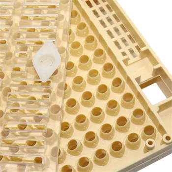 Bitininkystės Įrankių, Įrangos Komplektas Queen Auginimo Sistema Auginti Lauke 120pcs Plastiko Bičių Ląstelių Puodeliai Cupkit Karalienė Narve
