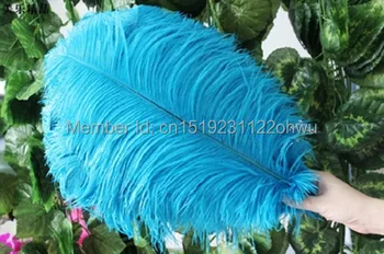 Natūraliai mėlyname stručio plunksna 45-50 cm / 18 to20 cm 50 vnt stručio plunksna, vestuvių papuošimai aukštos kokybės kamuolio