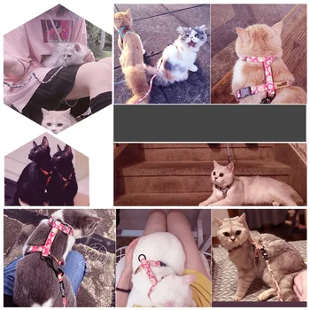 HOOPET Katė Šuns Apykaklę, Diržą Ėjimo Sukelti Pavadėlio Reguliuojamas Pet Traukos Cat Kitten Antkaklis Katėms Produktai, naminių Gyvūnėlių Diržas Diržo Komplektas