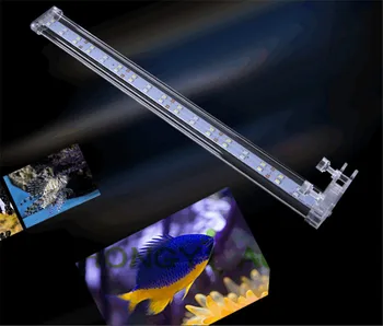 Crystal Žuvų bakas šviesos žibintuvėlis LED mažų įrašą, šviesos, Vandens žolės lempos Mini energijos taupymo įrašo šviesa, Akvariumo reikmenys