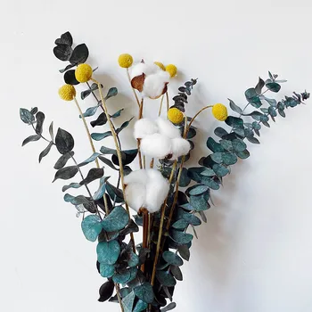 Natūralūs džiovinti pampos žolė, gėlės Triušio Uodega Žolės Eukalipto Šakų Nekilnojamojo medvilnės žiedai Aukso billy-Kamuolys vestuvių gėlės