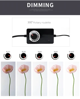 CY 70cm LED Foto Studija Softbox Šviesos Palapinėje Soft Box fotostudio Pritemdomi foto šviesos dėžutės Telefono Fotoaparatas DSLR Papuošalų, Žaislų Batai