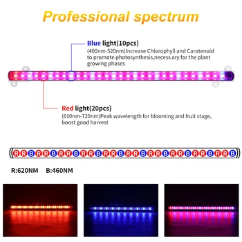 60 LED Grow Light Red/blue Dvigubas Vamzdelis Augalų Šviesos diodų (LED Juostos Lempos Augalams Aukštas Šviesos Efektyvumas Auga Palapinę, Šiltnamiuose Gėlių