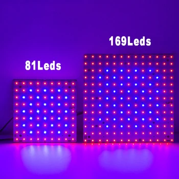 3pcs LED Grow Light 1000W vidaus LED Phytolamp Augalų Fito Lempa Auga Palapinė Sodinukai, Gėlės Žolės Led Hydroponic Sistema