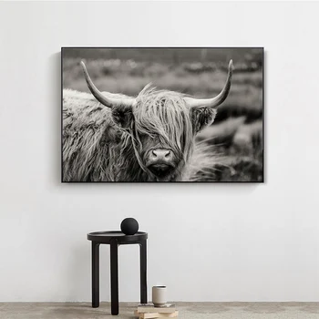 Škotijos Highland Catt Karvė Jakų Gyvūnų Plakatas Sienos Menas Drobė Paveikslų Spausdinant Nuotraukas ant Drobės už Kambarį Namų dekoro