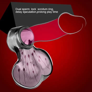 Vyrų Skaistybės Narve Užraktas Spermos Gaidys Žiedas Kapšelį Nelaisvėje PenisRing Vyrų Ilgalaikį Atidėti Ejakuliacija Pratimai Sekso žaisliukai Vyrams