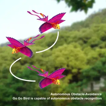 Eiti, eiti, Paukščių Nuotolinio Valdymo Plaukioja Žaisliniai Mini RC Sraigtasparnio Tranų-Tech Žaislai Smart Bionic Mojuoti Sparnais skrendančių Paukščių Vaikams Suaugusieji