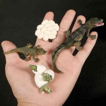 Modeliavimo Laukinių Gyvūnų Aštuonkojai,Krokodilas Augimo Ciklo Skorpionas Gyvavimo Ciklo Modeliai Veiksmų Skaičiai Mokymo Medžiagos Rinkimo Žaislas