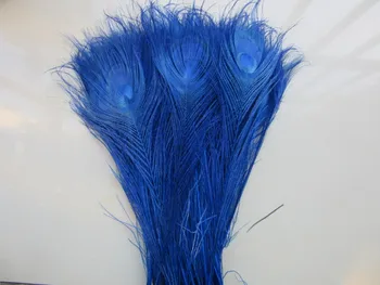 50pcs/Daug Royal blue Povo plunksnos, akys 25-30cm 10-12 Inchs Povo plunksnos meno veiklos drabužius kamuolio apdaila