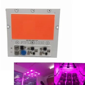 1PCS COB LED 100W 150w ac220V didelio galingumo Prožektorius Granulių gimimo data Chip visą spektrą Rožinė augalų auga lempos šviesos, stabdžių Žaibo 4KV