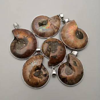 Mados 6vnt natūralaus akmens Ammonite Sraigė Pakabučiai & karoliai padaryti Papuošalai žavesio Reliquiae Fosilijos Karoliai priedai