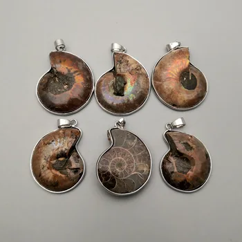 Mados 6vnt natūralaus akmens Ammonite Sraigė Pakabučiai & karoliai padaryti Papuošalai žavesio Reliquiae Fosilijos Karoliai priedai
