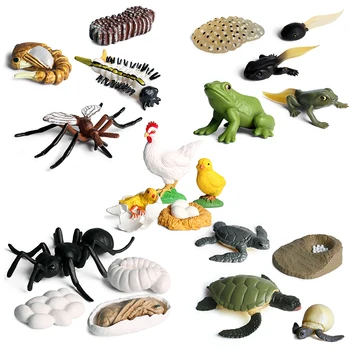 Modeliavimo Vabzdžiai, Gyvūnai Varlė Gaidys Augimo Ciklo Serija, Nustatyti 5 Stiliaus Mini Dydžio Vėžlys Ant Modelio Veiksmų Skaičiai Žaislas Vaikams Dovanų