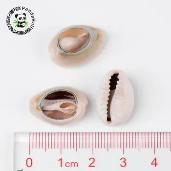 Spiralinio Korpuso Granulių Cowrie Shell 